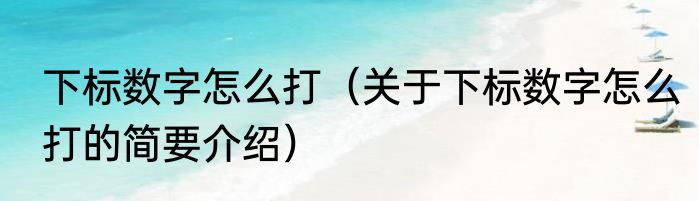 下标数字怎么打（关于下标数字怎么打的简要介绍）