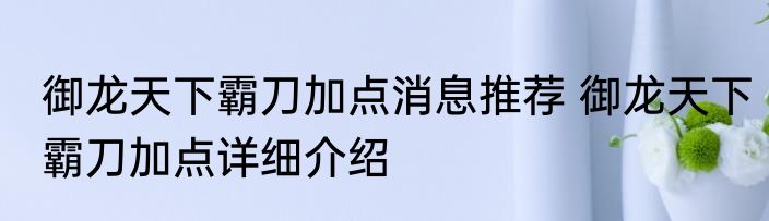 御龙天下霸刀加点消息推荐 御龙天下霸刀加点详细介绍