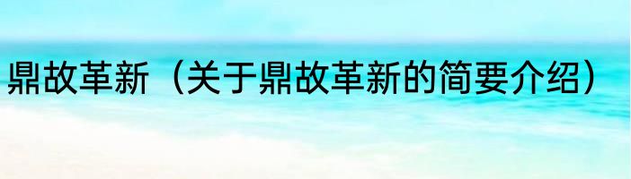 鼎故革新（关于鼎故革新的简要介绍）