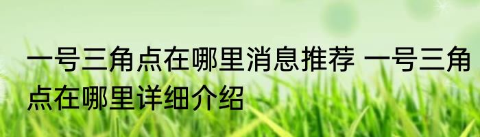 一号三角点在哪里消息推荐 一号三角点在哪里详细介绍
