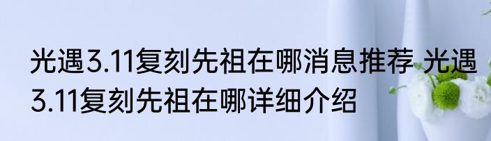 光遇3.11复刻先祖在哪消息推荐 光遇3.11复刻先祖在哪详细介绍