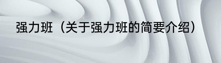 强力班（关于强力班的简要介绍）