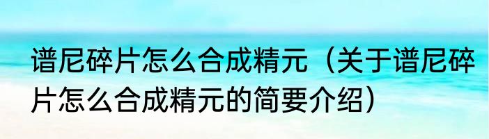 谱尼碎片怎么合成精元（关于谱尼碎片怎么合成精元的简要介绍）