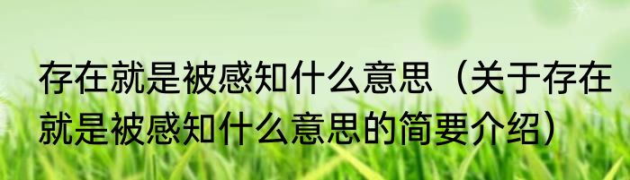 存在就是被感知什么意思（关于存在就是被感知什么意思的简要介绍）