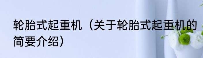 轮胎式起重机（关于轮胎式起重机的简要介绍）
