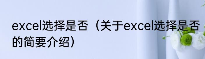 excel选择是否（关于excel选择是否的简要介绍）