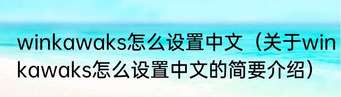 winkawaks怎么设置中文（关于winkawaks怎么设置中文的简要介绍）