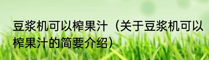 豆浆机可以榨果汁（关于豆浆机可以榨果汁的简要介绍）