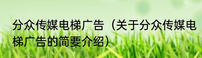 分众传媒电梯广告（关于分众传媒电梯广告的简要介绍）