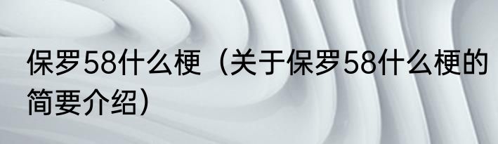 保罗58什么梗（关于保罗58什么梗的简要介绍）