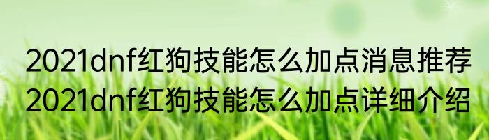 2021dnf红狗技能怎么加点消息推荐 2021dnf红狗技能怎么加点详细介绍