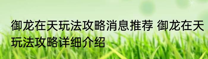 御龙在天玩法攻略消息推荐 御龙在天玩法攻略详细介绍