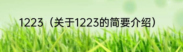 1223（关于1223的简要介绍）