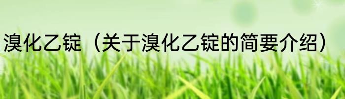 溴化乙锭（关于溴化乙锭的简要介绍）