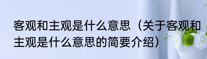客观和主观是什么意思（关于客观和主观是什么意思的简要介绍）