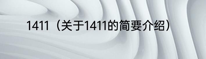 1411（关于1411的简要介绍）