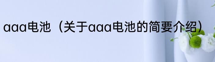 aaa电池（关于aaa电池的简要介绍）