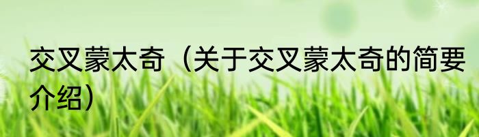 交叉蒙太奇（关于交叉蒙太奇的简要介绍）