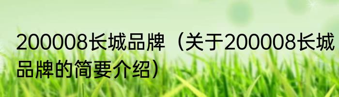 200008长城品牌（关于200008长城品牌的简要介绍）