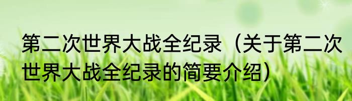 第二次世界大战全纪录（关于第二次世界大战全纪录的简要介绍）