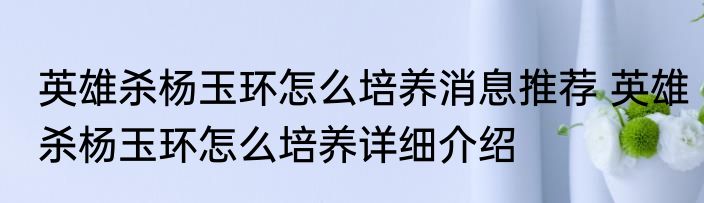 英雄杀杨玉环怎么培养消息推荐 英雄杀杨玉环怎么培养详细介绍