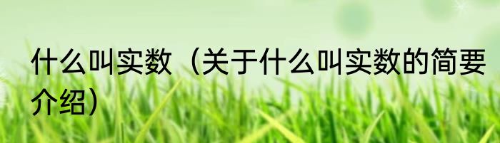 什么叫实数（关于什么叫实数的简要介绍）