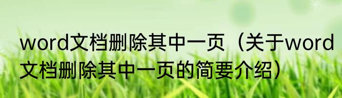 word文档删除其中一页（关于word文档删除其中一页的简要介绍）