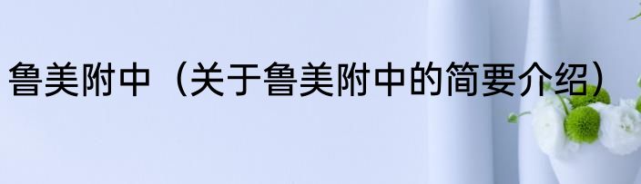 鲁美附中（关于鲁美附中的简要介绍）