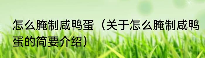 怎么腌制咸鸭蛋（关于怎么腌制咸鸭蛋的简要介绍）