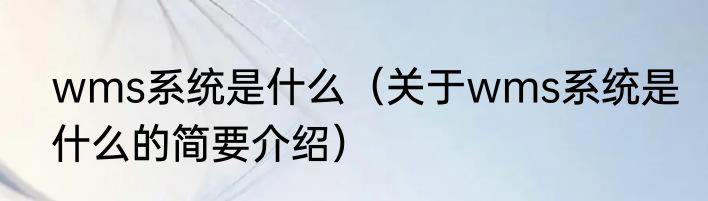 wms系统是什么（关于wms系统是什么的简要介绍）