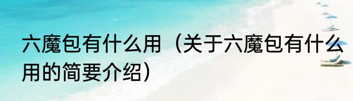 六魔包有什么用（关于六魔包有什么用的简要介绍）