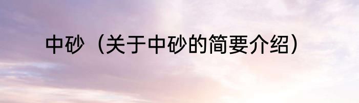 中砂（关于中砂的简要介绍）
