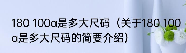 180 100a是多大尺码（关于180 100a是多大尺码的简要介绍）