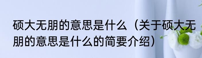 硕大无朋的意思是什么（关于硕大无朋的意思是什么的简要介绍）