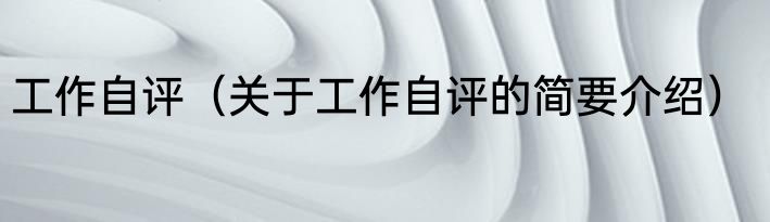 工作自评（关于工作自评的简要介绍）