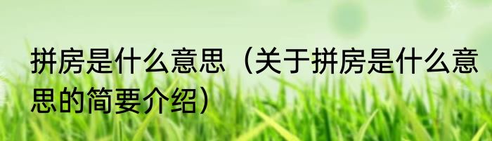 拼房是什么意思（关于拼房是什么意思的简要介绍）