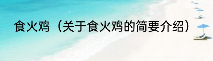 食火鸡（关于食火鸡的简要介绍）