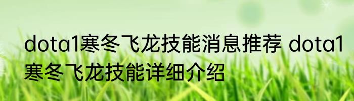 dota1寒冬飞龙技能消息推荐 dota1寒冬飞龙技能详细介绍