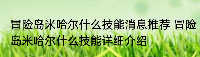 冒险岛米哈尔什么技能消息推荐 冒险岛米哈尔什么技能详细介绍
