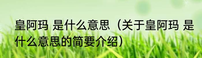 皇阿玛 是什么意思（关于皇阿玛 是什么意思的简要介绍）