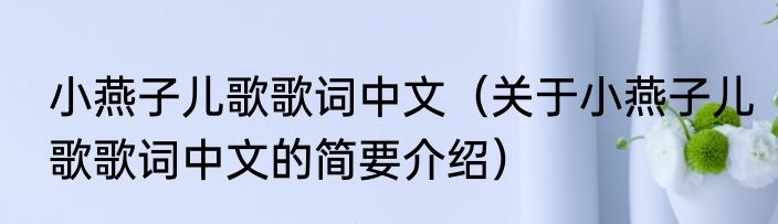 小燕子儿歌歌词中文（关于小燕子儿歌歌词中文的简要介绍）