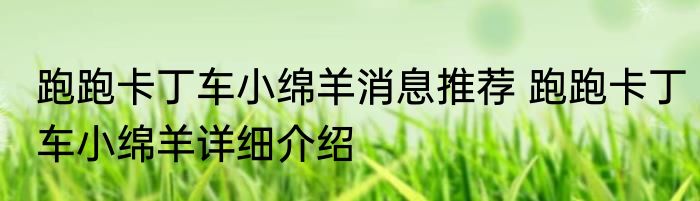 跑跑卡丁车小绵羊消息推荐 跑跑卡丁车小绵羊详细介绍