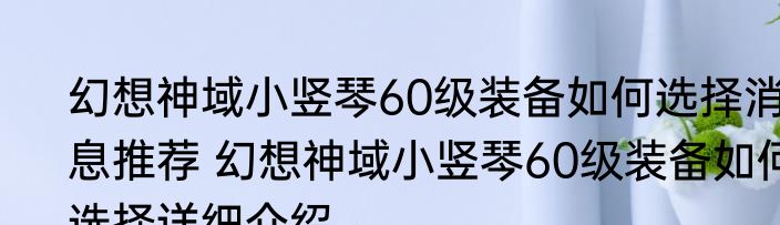幻想神域小竖琴60级装备如何选择消息推荐 幻想神域小竖琴60级装备如何选择详细介绍