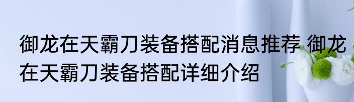 御龙在天霸刀装备搭配消息推荐 御龙在天霸刀装备搭配详细介绍
