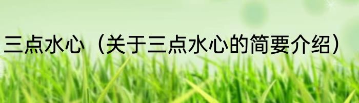 三点水心（关于三点水心的简要介绍）