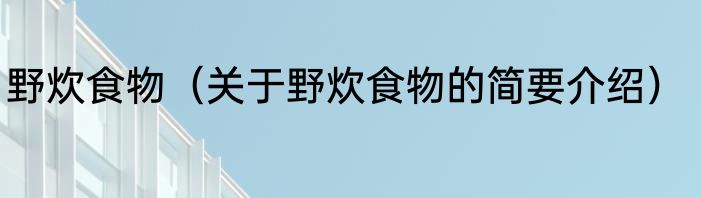 野炊食物（关于野炊食物的简要介绍）