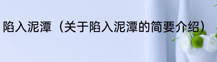 陷入泥潭（关于陷入泥潭的简要介绍）
