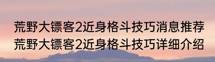 荒野大镖客2近身格斗技巧消息推荐 荒野大镖客2近身格斗技巧详细介绍