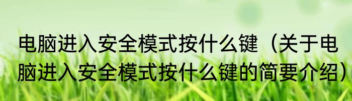 电脑进入安全模式按什么键（关于电脑进入安全模式按什么键的简要介绍）