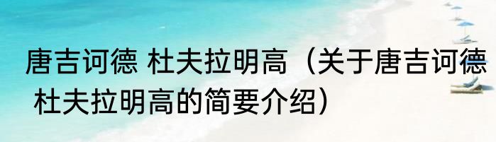 唐吉诃德 杜夫拉明高（关于唐吉诃德 杜夫拉明高的简要介绍）